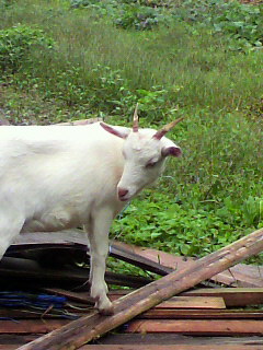 f0036223_11412896.jpg