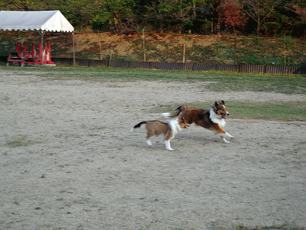 b0066826_1425131.gif