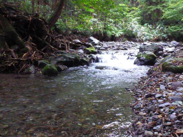 b0195927_22451634.jpg