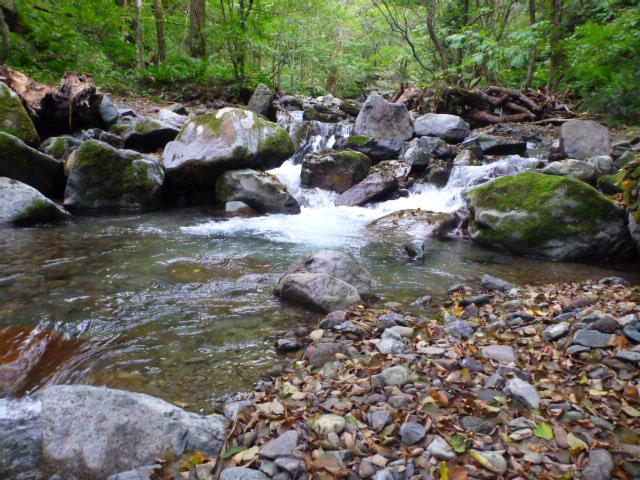 b0195927_22461548.jpg