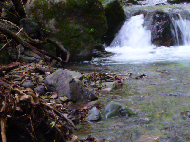 b0195927_22561348.jpg
