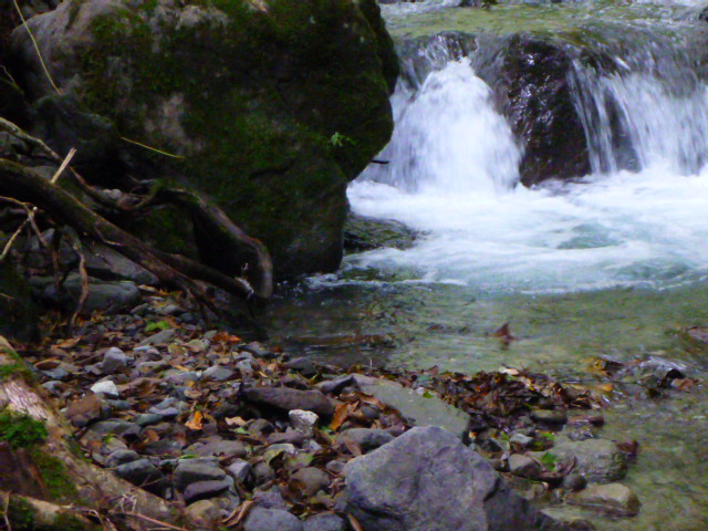 b0195927_22565577.jpg