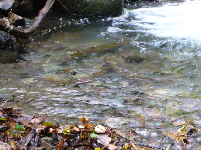 b0195927_22574997.jpg