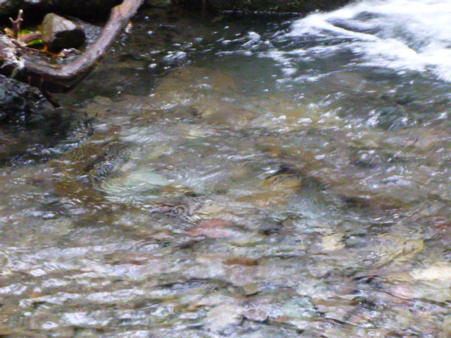 b0195927_2302760.jpg