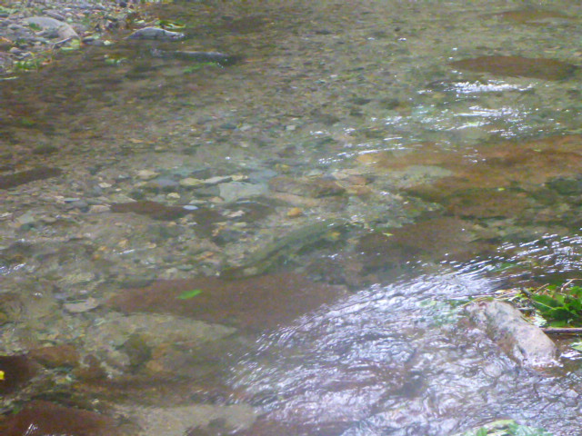b0195927_23134771.jpg