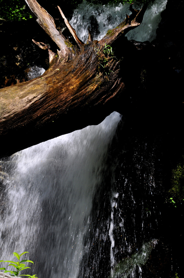 f0207328_16362061.jpg