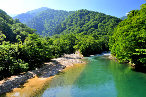 f0207328_16363096.jpg