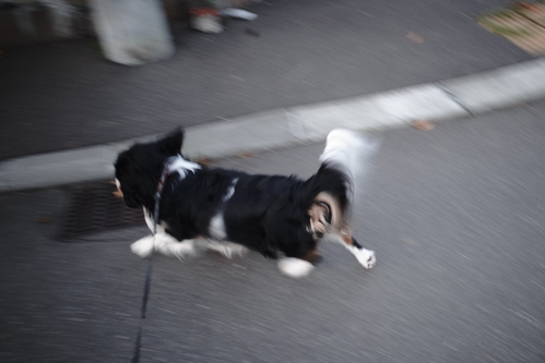 c0051132_20311147.jpg