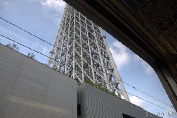 c0133533_1564330.jpg