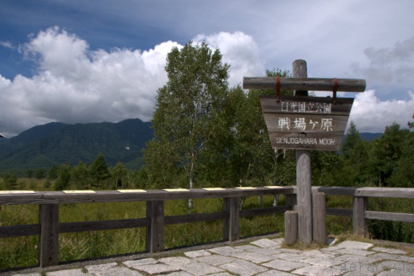 c0133533_205843.jpg