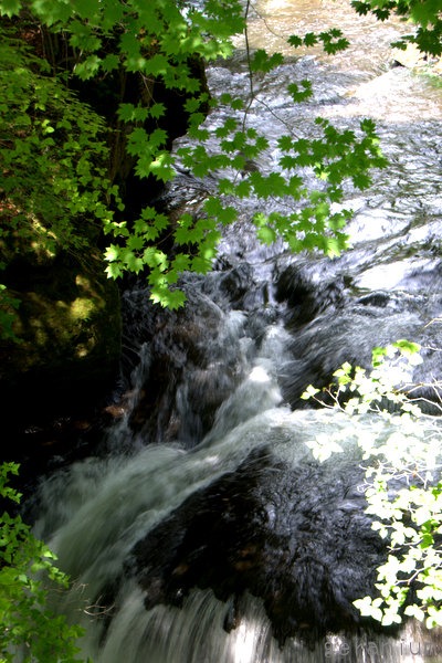 c0133533_2114668.jpg
