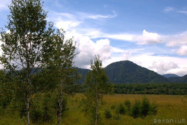c0133533_215454.jpg