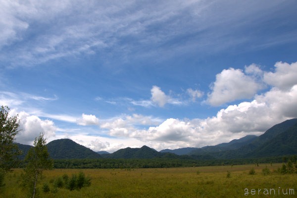 c0133533_222795.jpg