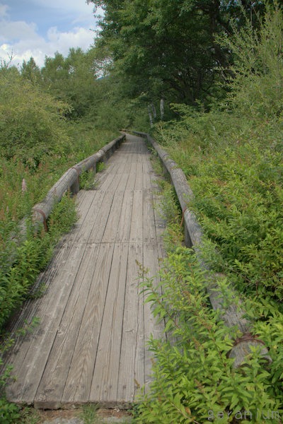 c0133533_23166.jpg
