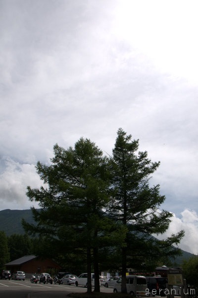c0133533_273915.jpg