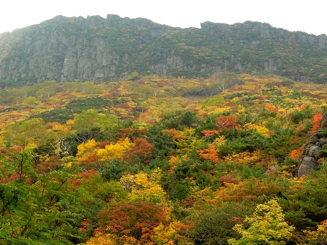 b0122448_2150393.jpg