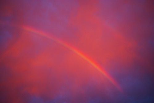 a0299749_2146021.jpg