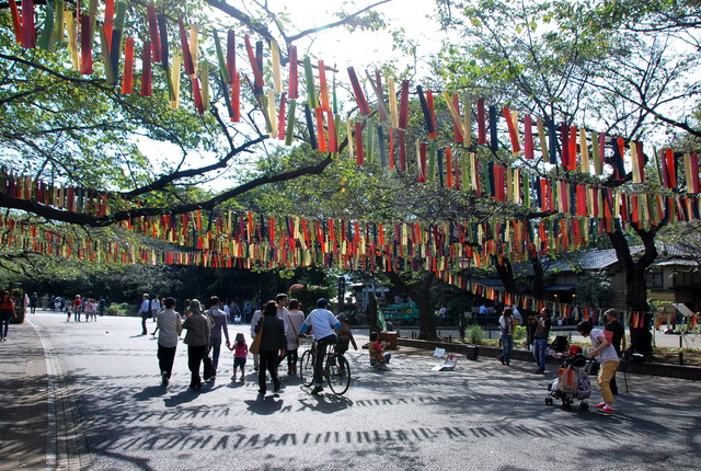 b0174068_23181638.jpg