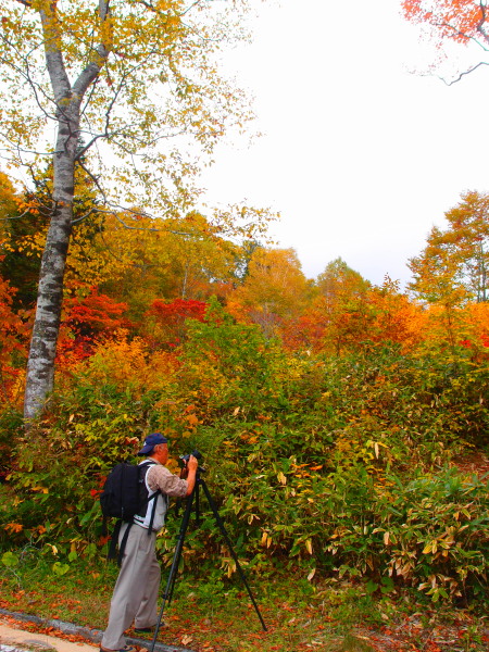 c0122670_4504479.jpg
