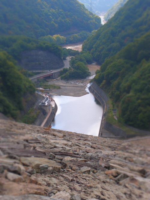 c0122670_4561454.jpg