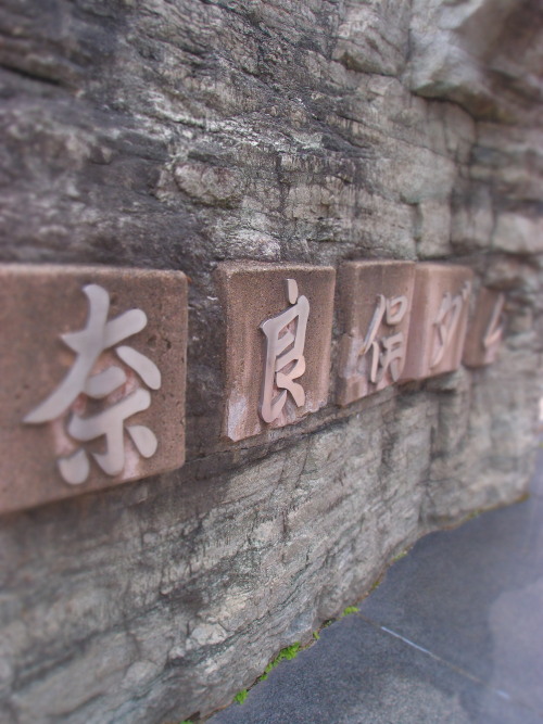 c0122670_512295.jpg