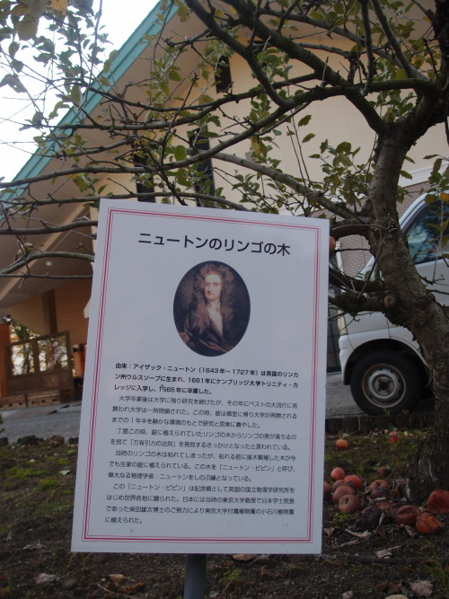 c0122670_551890.jpg