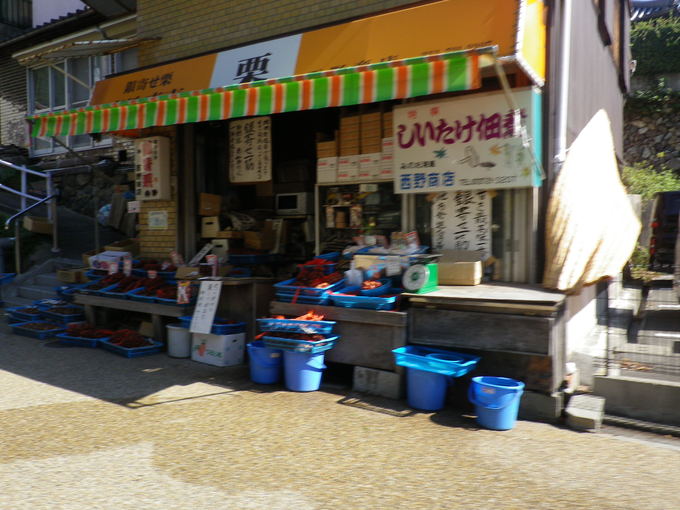 e0143671_1441398.jpg