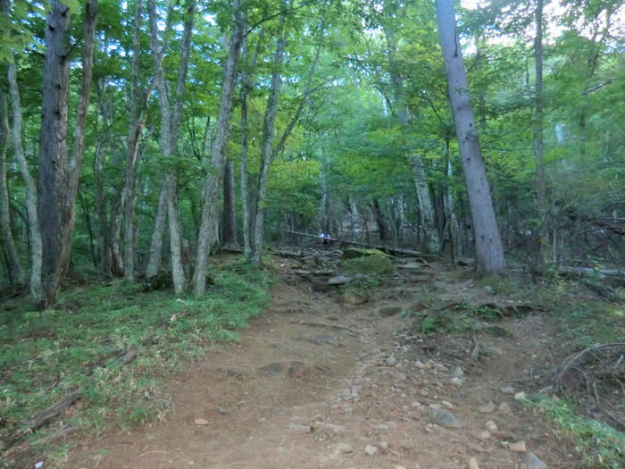 b0185573_13431716.jpg