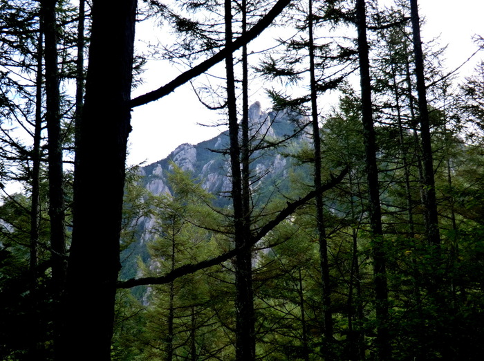 b0185573_15532583.jpg