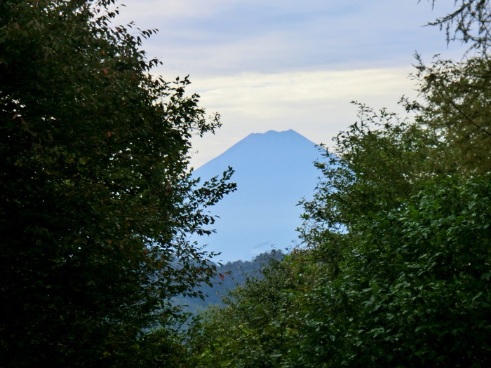 b0185573_16354473.jpg