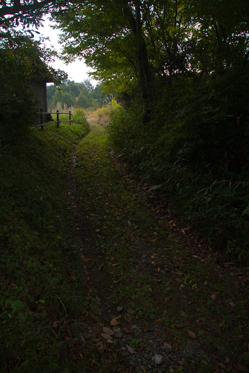 b0280176_18491128.jpg