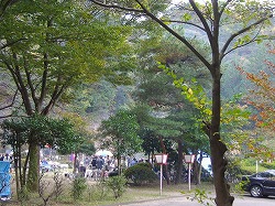 a0142083_1193498.jpg