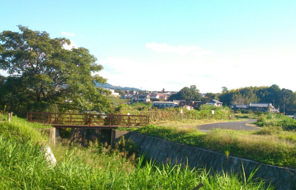 d0243887_1564437.jpg