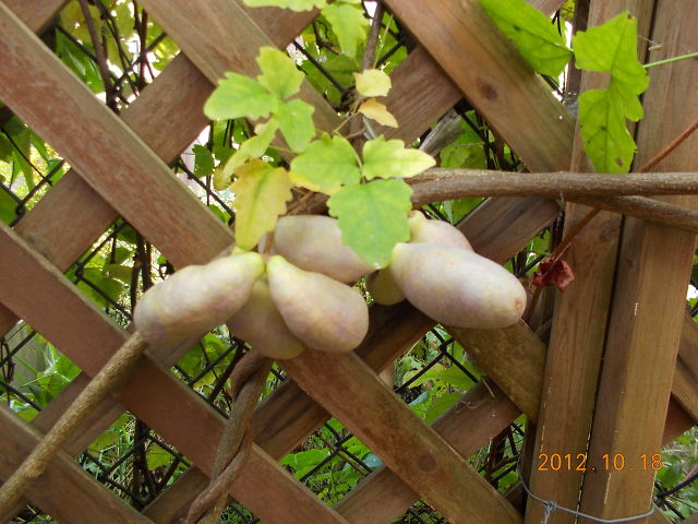 a0007388_13255068.jpg