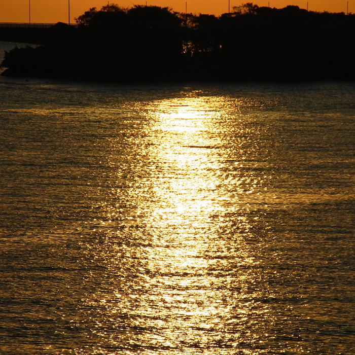 c0049299_19215414.jpg