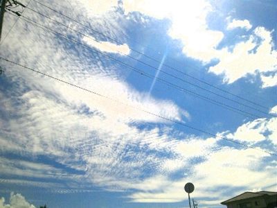 d0170799_153335.jpg