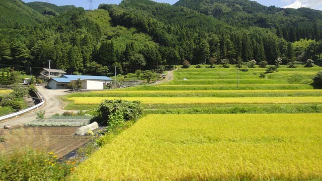 d0004301_231793.jpg