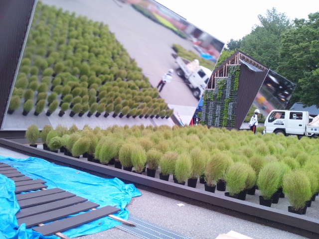 d0260803_20475567.jpg