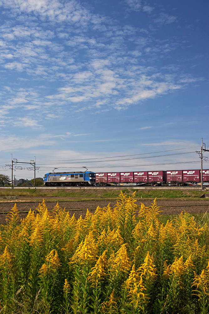 b0221605_8551356.jpg