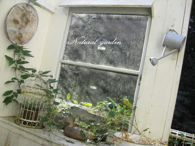 c0085916_0473196.jpg