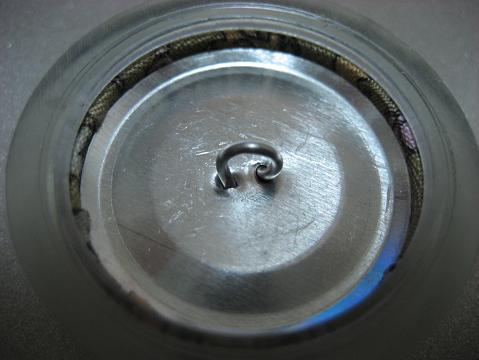 a0078020_4163317.jpg
