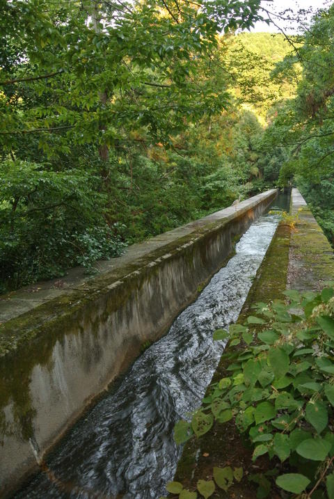 e0219520_17194067.jpg