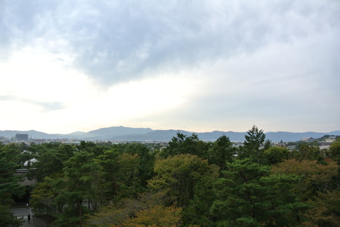 e0219520_1741033.jpg