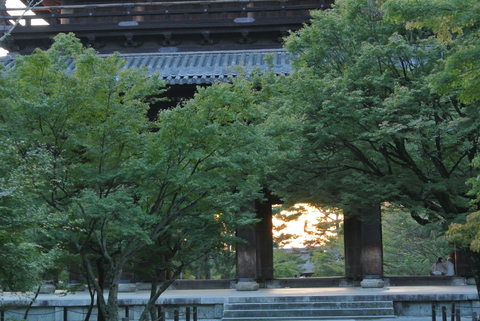 e0219520_1765850.jpg
