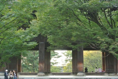 e0219520_176917.jpg