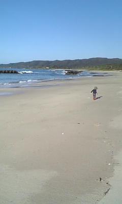 c0117621_238473.jpg