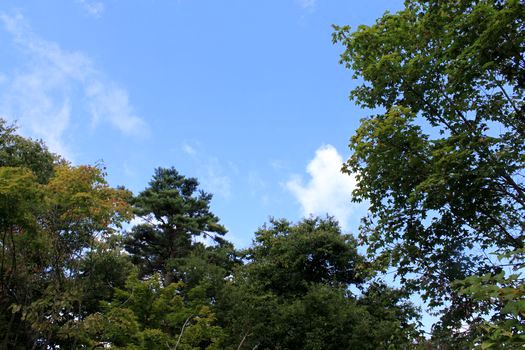 f0084422_1224148.jpg