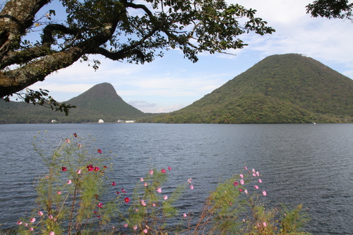 b0162824_20321385.jpg