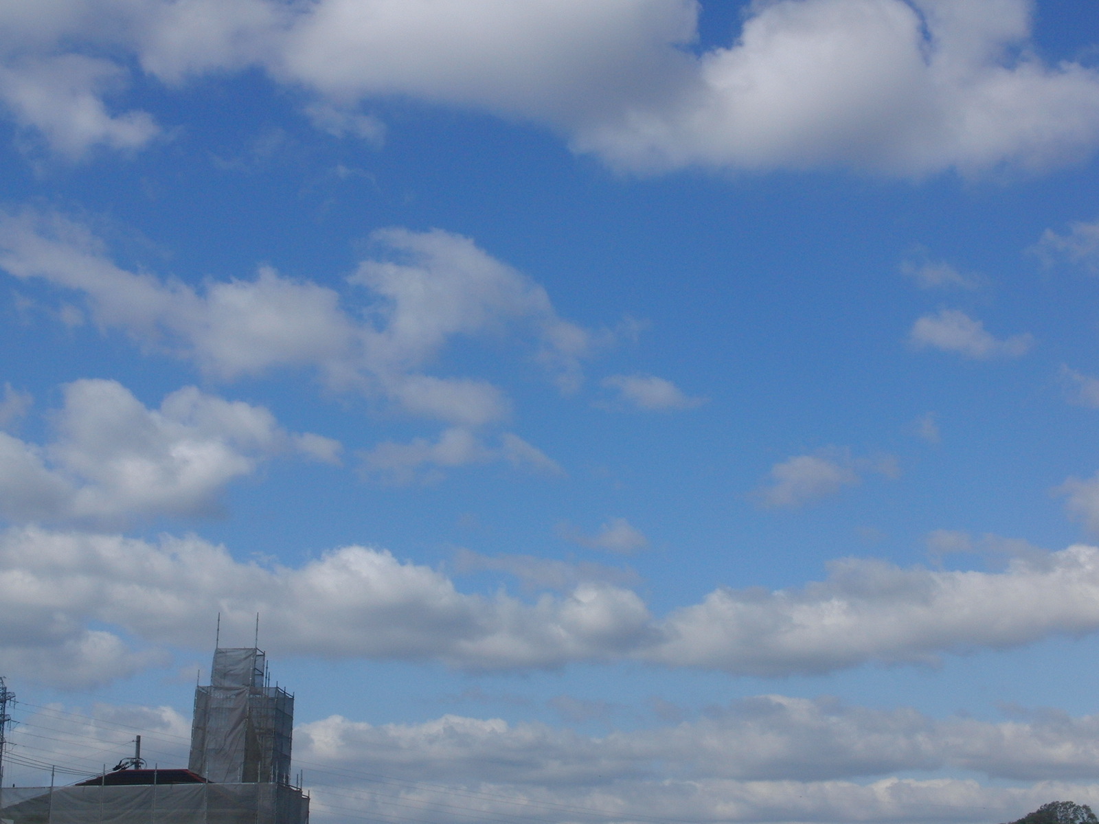 f0111128_9395610.jpg