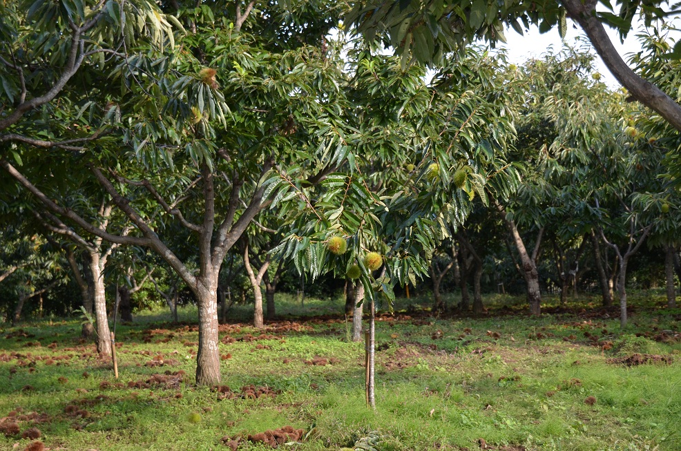 f0124830_23451219.jpg